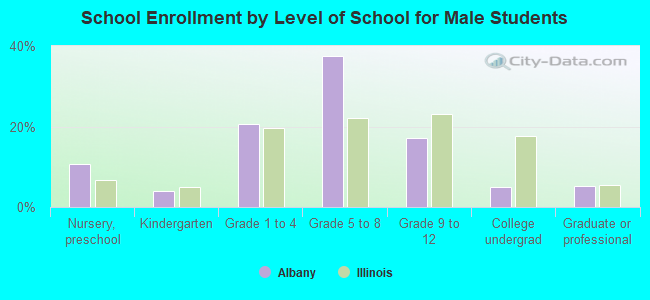 School Enrollment by Level of School for Male Students