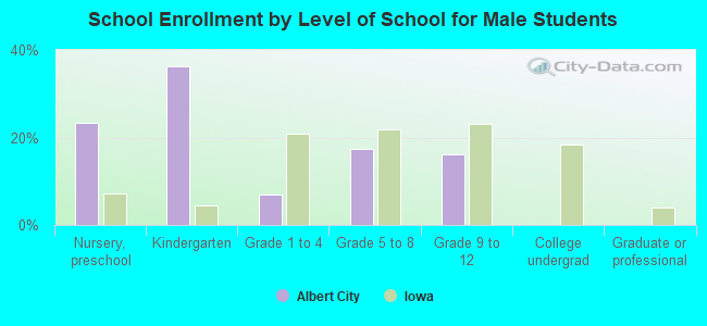 School Enrollment by Level of School for Male Students