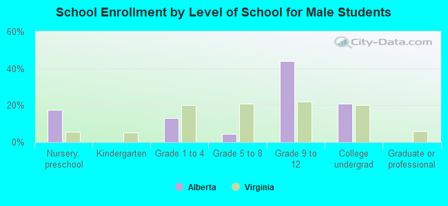 School Enrollment by Level of School for Male Students