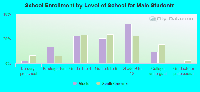 School Enrollment by Level of School for Male Students