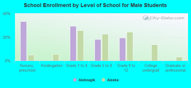 School Enrollment by Level of School for Male Students