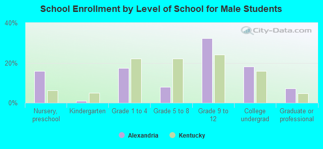 School Enrollment by Level of School for Male Students