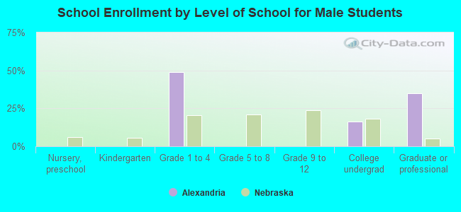 School Enrollment by Level of School for Male Students