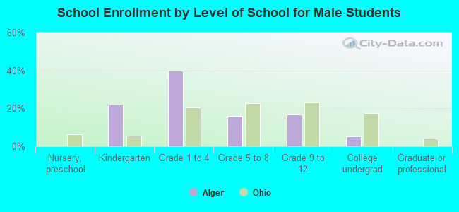 School Enrollment by Level of School for Male Students