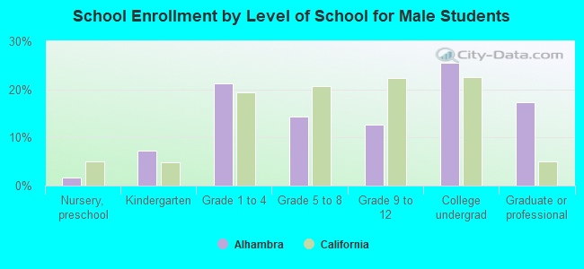 School Enrollment by Level of School for Male Students