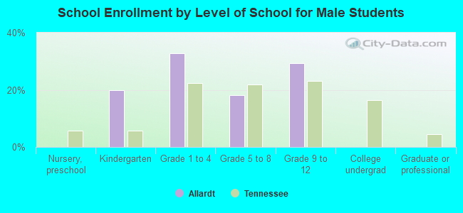 School Enrollment by Level of School for Male Students