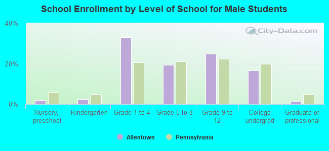 School Enrollment by Level of School for Male Students