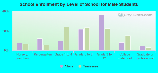 School Enrollment by Level of School for Male Students