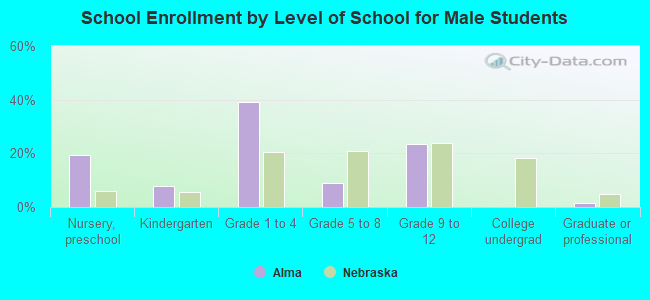 School Enrollment by Level of School for Male Students