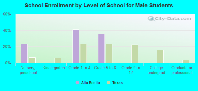 School Enrollment by Level of School for Male Students