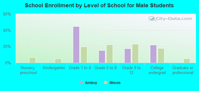 School Enrollment by Level of School for Male Students