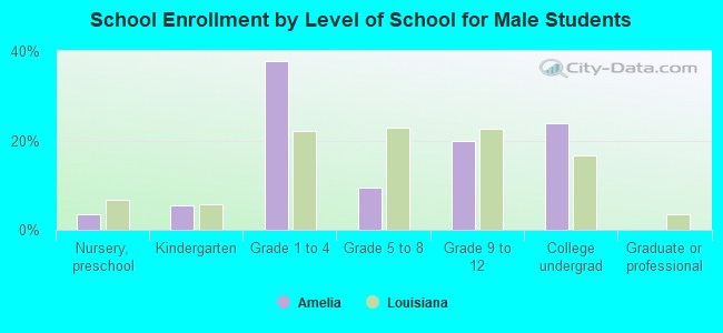 School Enrollment by Level of School for Male Students