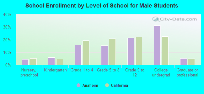 School Enrollment by Level of School for Male Students