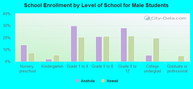 School Enrollment by Level of School for Male Students