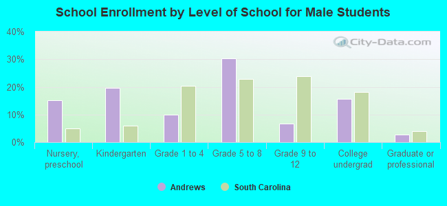 School Enrollment by Level of School for Male Students