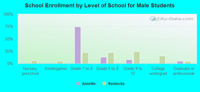 School Enrollment by Level of School for Male Students