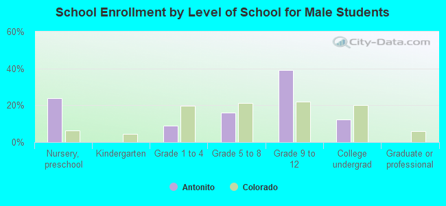 School Enrollment by Level of School for Male Students