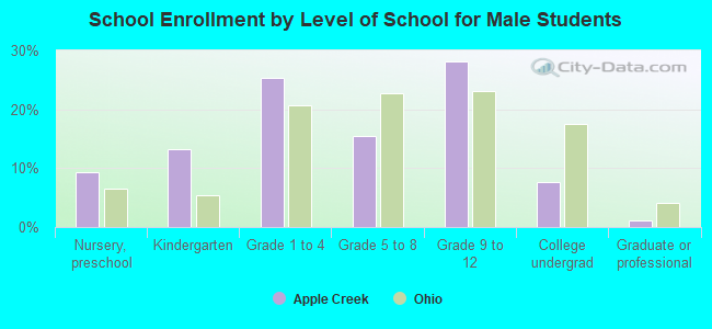 School Enrollment by Level of School for Male Students