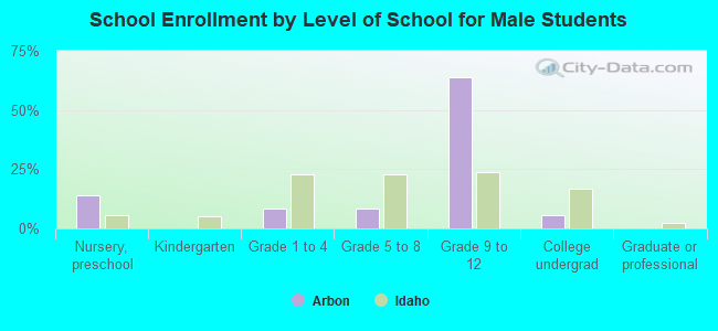 School Enrollment by Level of School for Male Students