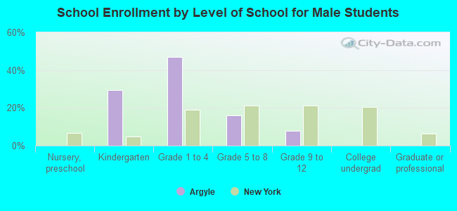 School Enrollment by Level of School for Male Students