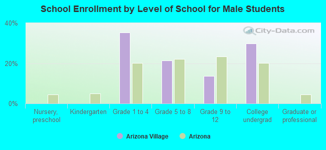 School Enrollment by Level of School for Male Students