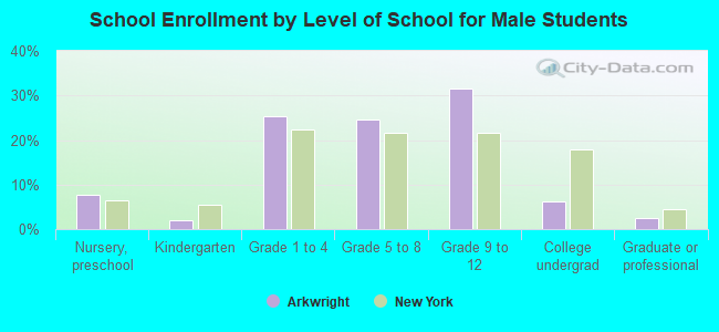 School Enrollment by Level of School for Male Students