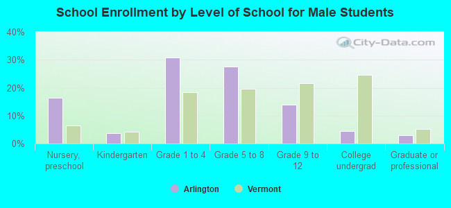 School Enrollment by Level of School for Male Students