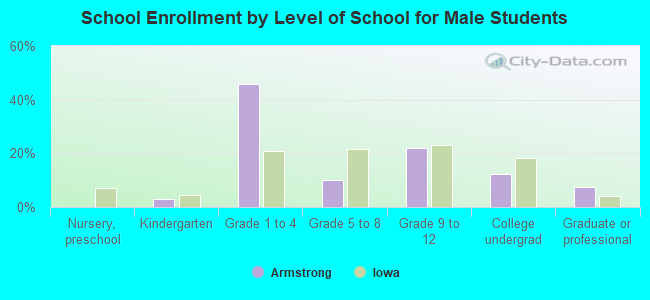 School Enrollment by Level of School for Male Students