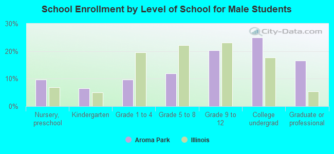 School Enrollment by Level of School for Male Students