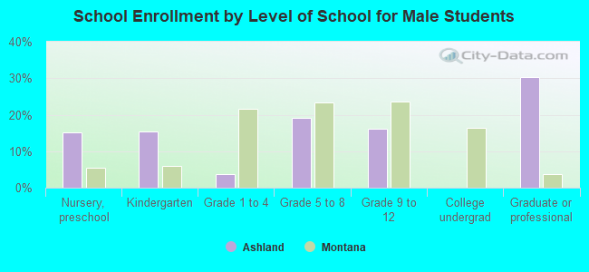 School Enrollment by Level of School for Male Students