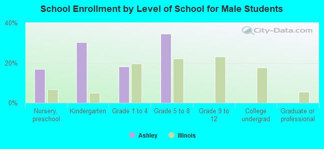 School Enrollment by Level of School for Male Students