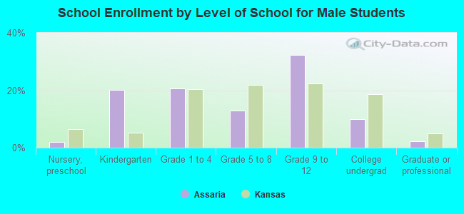 School Enrollment by Level of School for Male Students