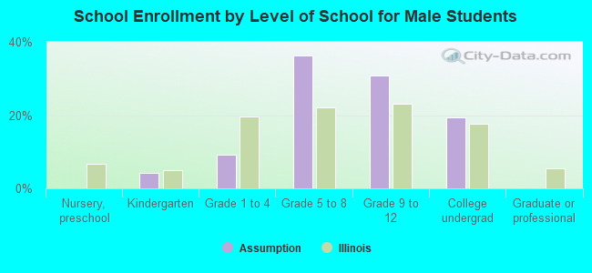 School Enrollment by Level of School for Male Students