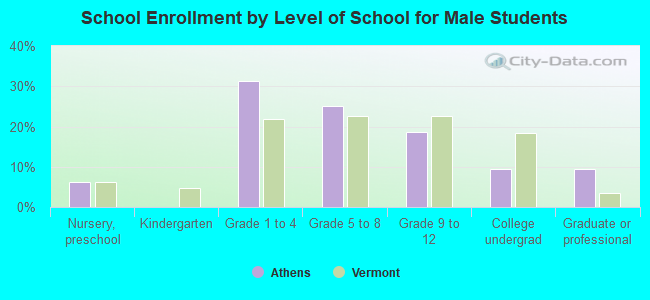 School Enrollment by Level of School for Male Students