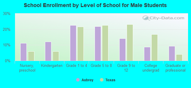 School Enrollment by Level of School for Male Students