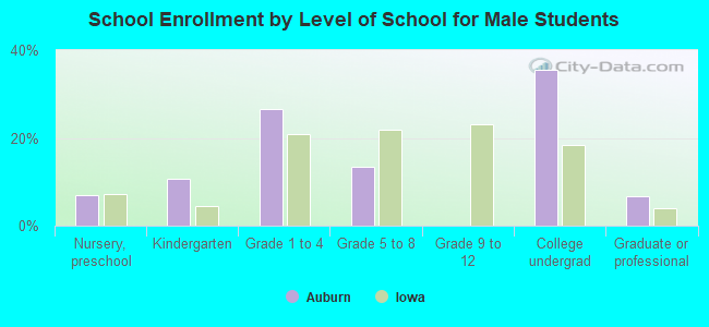 School Enrollment by Level of School for Male Students