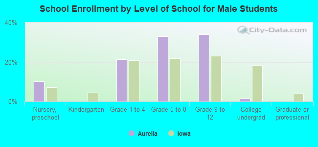 School Enrollment by Level of School for Male Students