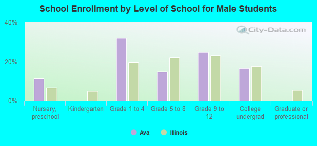 School Enrollment by Level of School for Male Students