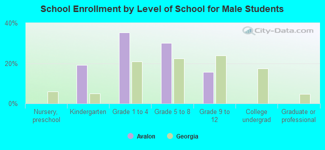 School Enrollment by Level of School for Male Students