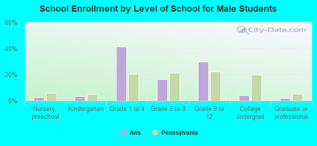 School Enrollment by Level of School for Male Students