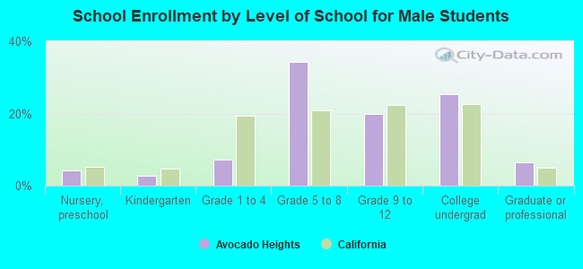 School Enrollment by Level of School for Male Students