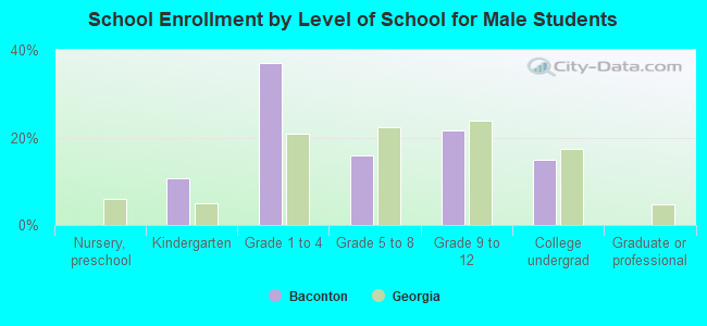 School Enrollment by Level of School for Male Students