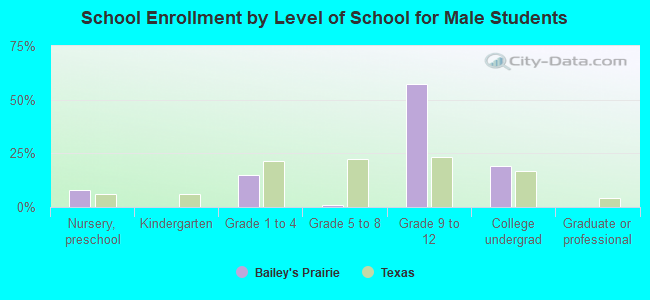 School Enrollment by Level of School for Male Students