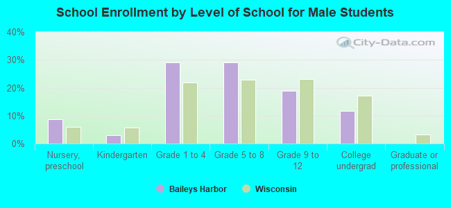 School Enrollment by Level of School for Male Students