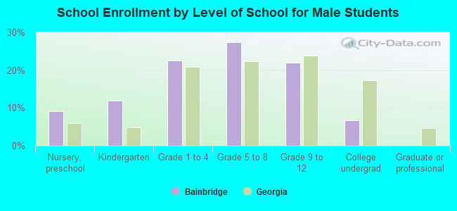 School Enrollment by Level of School for Male Students