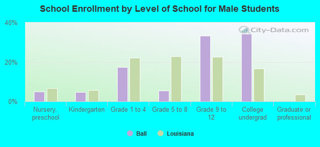 School Enrollment by Level of School for Male Students