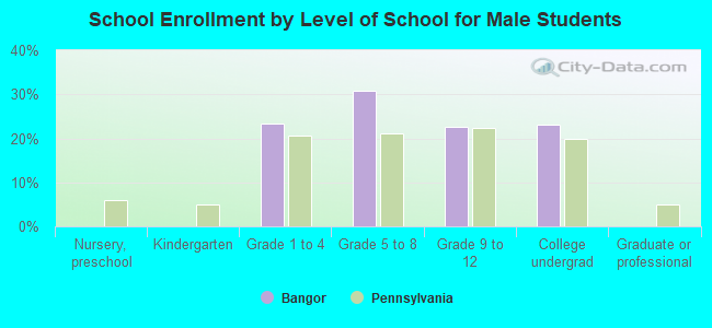 School Enrollment by Level of School for Male Students