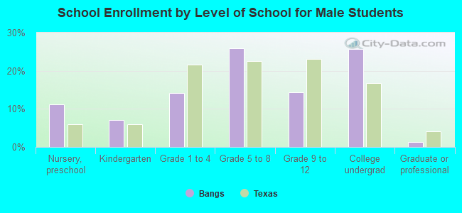 School Enrollment by Level of School for Male Students