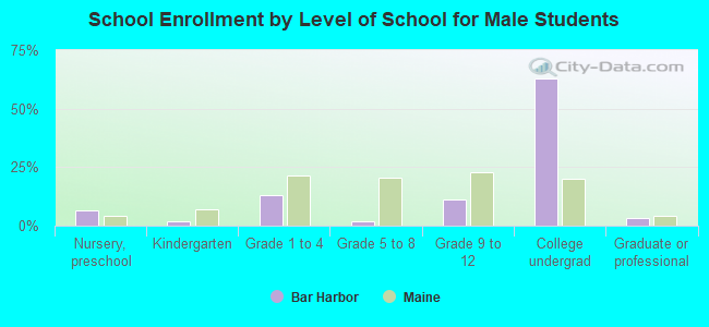 School Enrollment by Level of School for Male Students