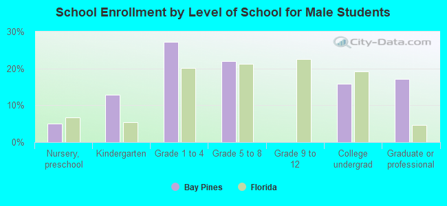 School Enrollment by Level of School for Male Students